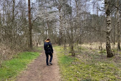 I Järravallen vandrar du på både ängar, strand och tallskog och möter stor mängd av naturstigar