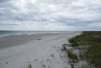 Falsterbo är en riktigt naturskön spot, ikke nybörjarvänligt, bäst vid östliga vindar.