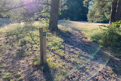 Maskinbyggd led runt Äventyrscampen. Passar Barn och nybörjare