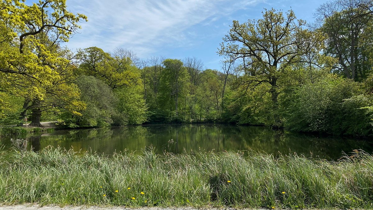 Adventure Finder Bokskogen Malm adventure-finder-bokskogen-malm