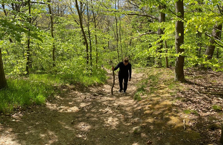 Olika vandringstyper