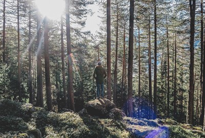 Ett stort naturreservat med omväxlande natur