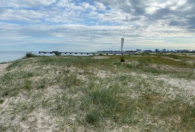Ribban - Malmöbornas mest besökta strand