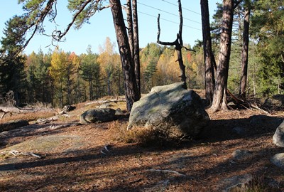 Upptäck Skånes största ö