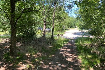 Utgångspunkt för såväl motionären som för den naturintresserade