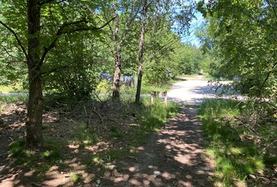 Utgångspunkt för såväl motionären som för den naturintresserade