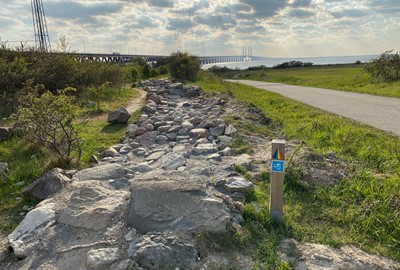 Fin MTB led i utkanten av Malmö precis vid brofästet. Passar nybörjare-erfarna åkare