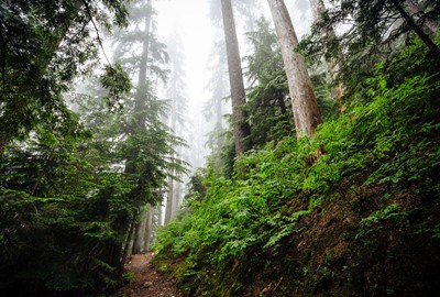 Sträckans höjdpunkt är Stenshuvud nationalpark och bergstigning