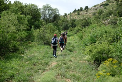 Varierad & magisk natur