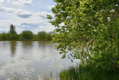 Ta med fikakorgen i naturen