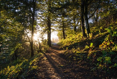 Utforska mäktiga Söderåsens nationalpark