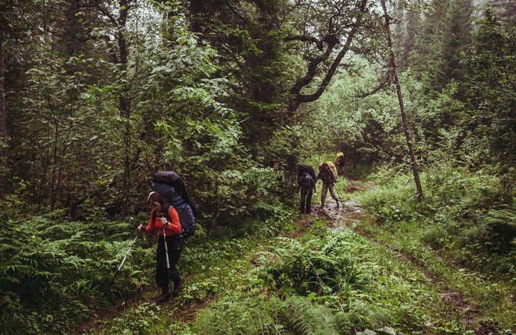 Allemansrätten i Sverige